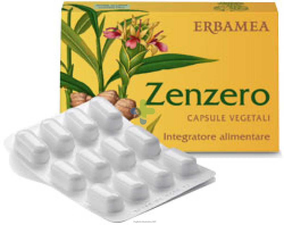 Erbamea Zenzero 24cps Vegetali