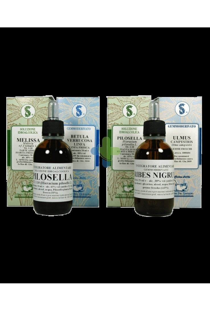 Sarandrea Marco &c. Equisetum Arvense 100ml Mg