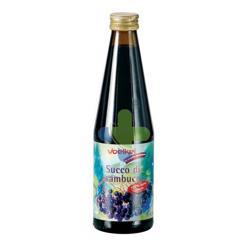 Biotobio Succo Sambuco 330ml