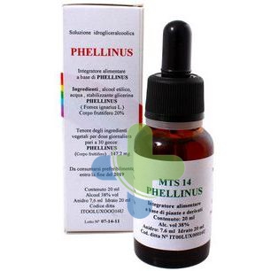 Alkaest Mts14 Phellinus Gocce 20ml