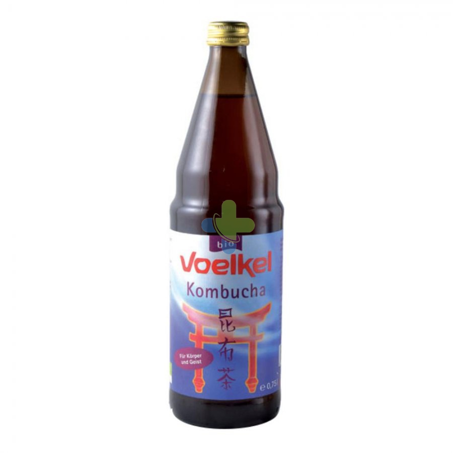 Biotobio Kombucha