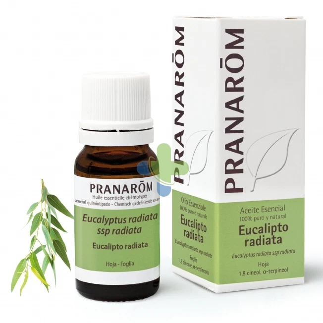 Herbalgem Italia Pranarom Oe Bio Eucal Rad 10ml