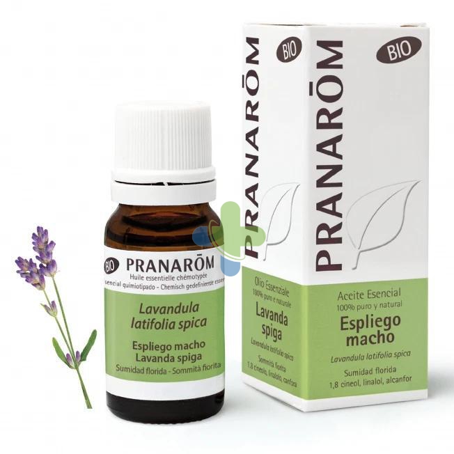 Herbalgem Italia Pranarom Oe Bio Lavanda Sp10ml