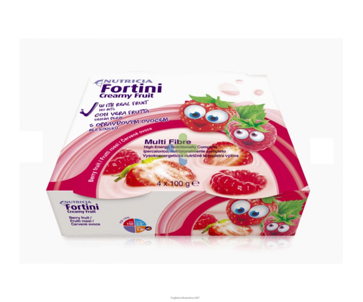Danone Nutricia  Soc.ben. Fortini Creamy Fruit Fr Ro 4pz