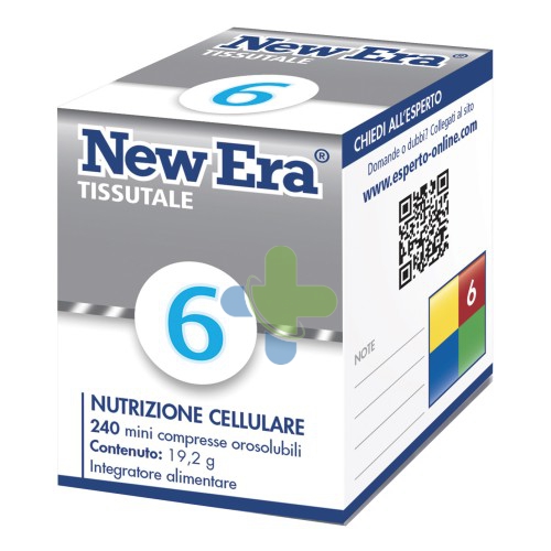 Named New Era New Era 6 240gr