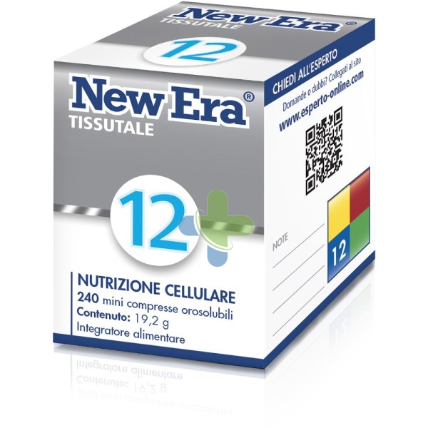 Named New Era New Era 12 240gr