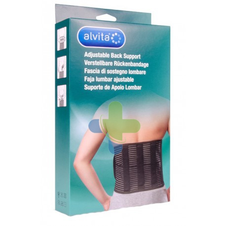 Alliance Healthcare It.dis. Alvita Fascia Lombare 2