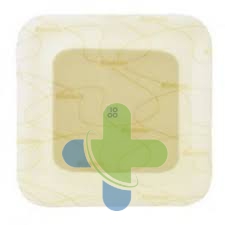 Coloplast Biatain Idrocol Ades 15x15 5pz