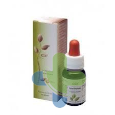 Adama Eie Echinacea 30ml Gtt