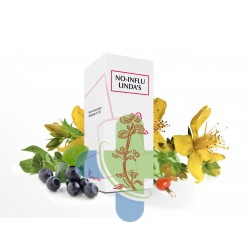 Lindaservice No Influ Lindas Sciroppo 125ml