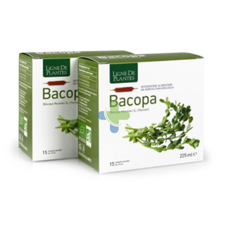 Ligne De Plantes Bacopa Bio 15ampolle 15ml