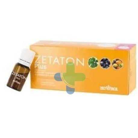 Zetaton Plus 12fx10ml