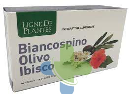 Natura Service Biancospino Olivo Ibisco 60cps