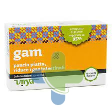 Virya Gam Virya 60cpr