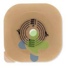 Hollister Conform 2 Placca Conv B/a Ce45