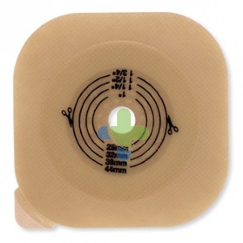 Hollister Conform 2 Placca Conv B/a Ce70