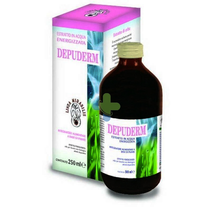 A.v.d. Reform Depuderm Liquido 500ml