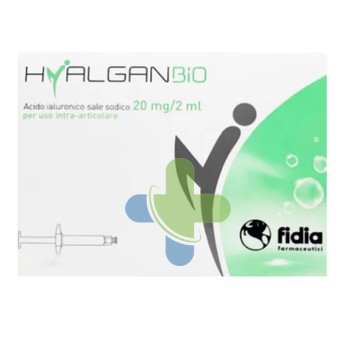 Fidia Farmaceutici Hyalganbio Sir Intra-art 2ml