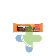 Named Sport Energybar Fruit Bar Wild 12bar
