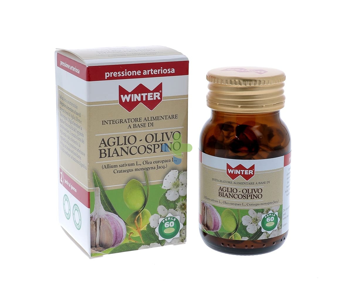 Gdp -general Dietet.pharma Aglio Biancospino Olivo 60prl