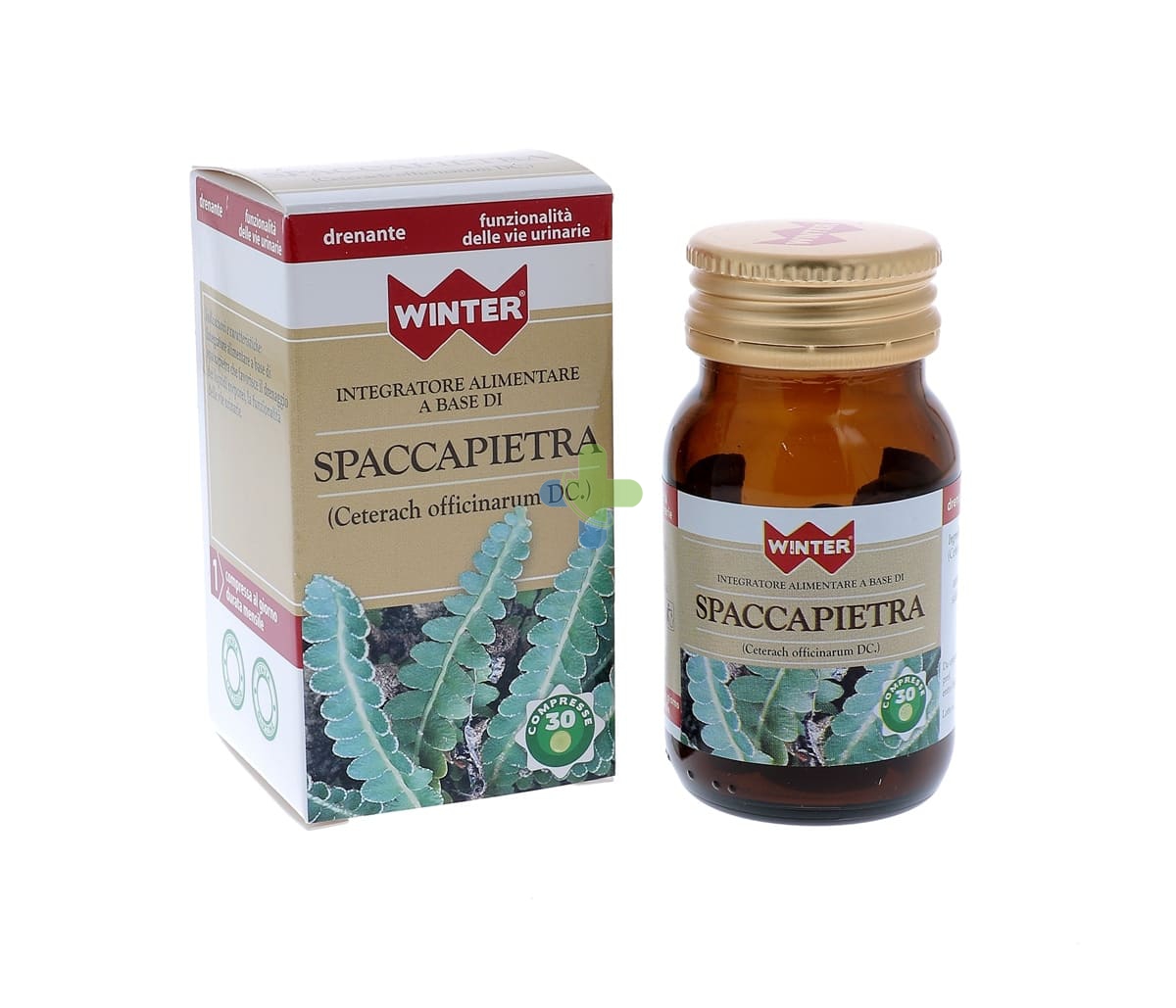 Gdp -general Dietet.pharma Spaccapietra 30cpr Winter