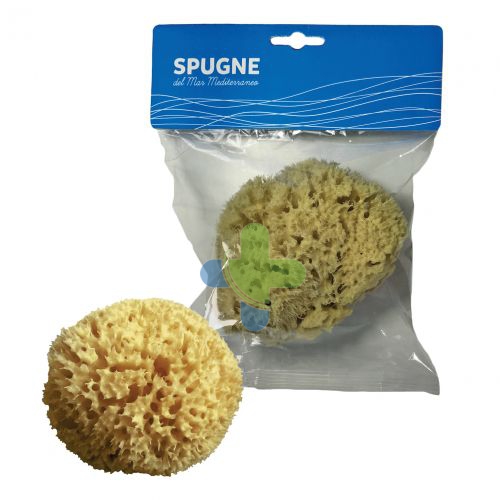 Alcea Spugna Arcipelago Med Nat 12