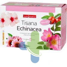 Naturwaren Naturplus Tisana Echinacea20fi