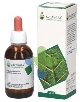 Arcangea Linfa Betulla Gd 50ml Bio