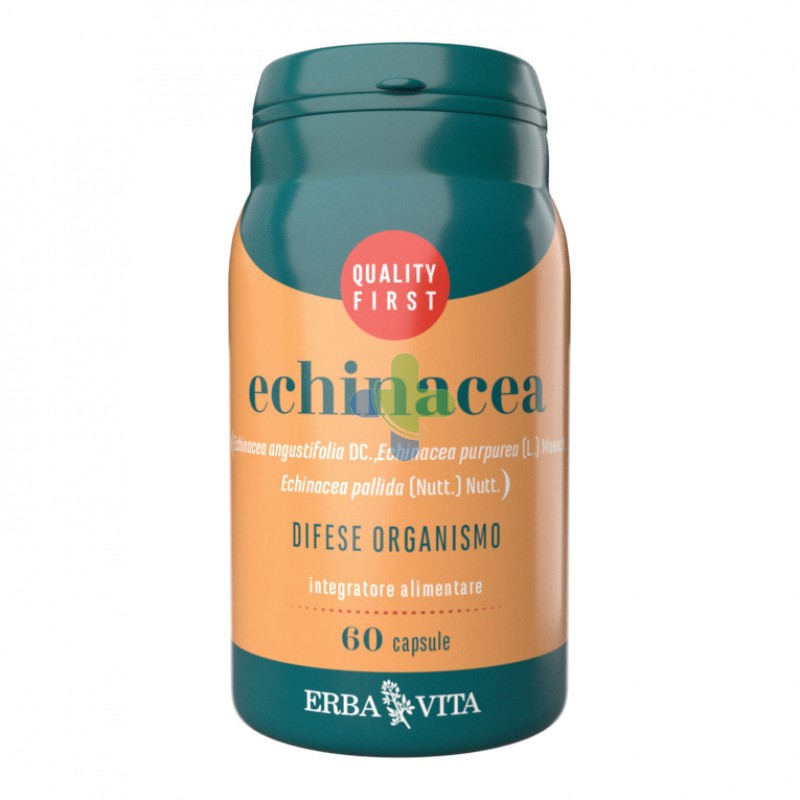 Erba Vita Group Echinacea 60cps