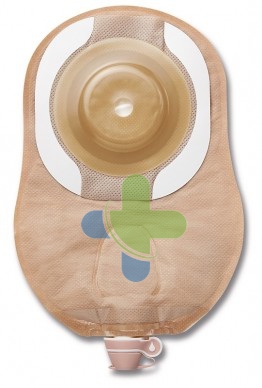 Hollister Moderma Flex Ap Conv Sm T13-25