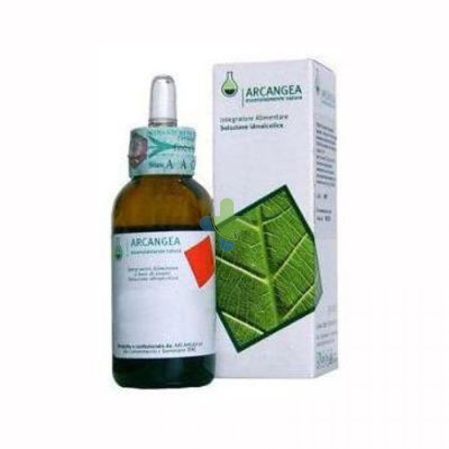 Arcangea Vaccinium Vitis Gd 33 Bio 50ml