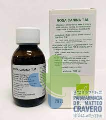 Oti Rosa Canina Tm Gocce 100ml