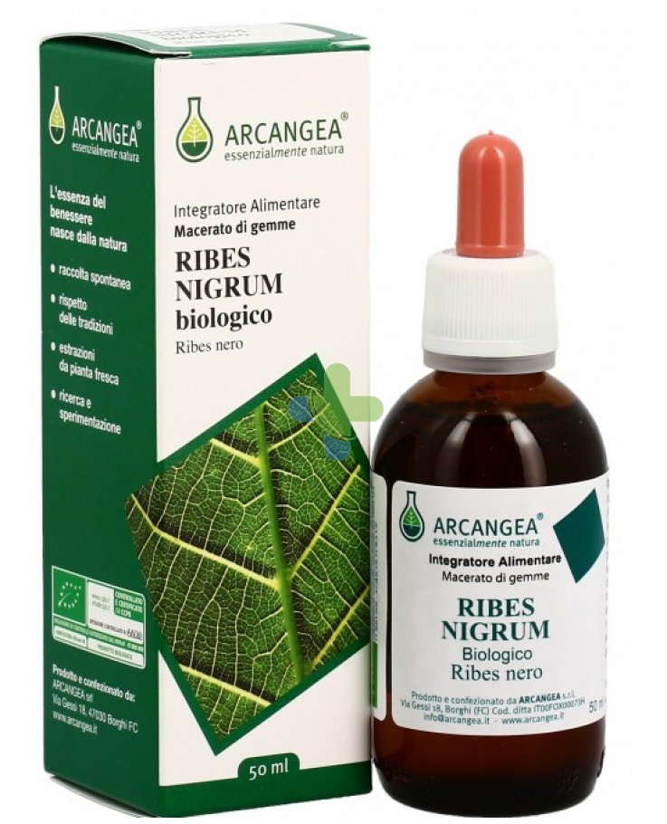 Arcangea Ribes Nigrum Gd 33 Bio 100ml