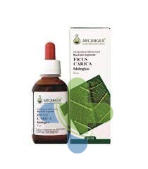 Arcangea Ficus Carica Bio 33 Circ Gd