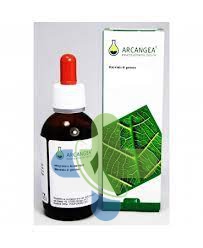 Arcangea Alnus Glutinosa Gd 33 Bio100ml