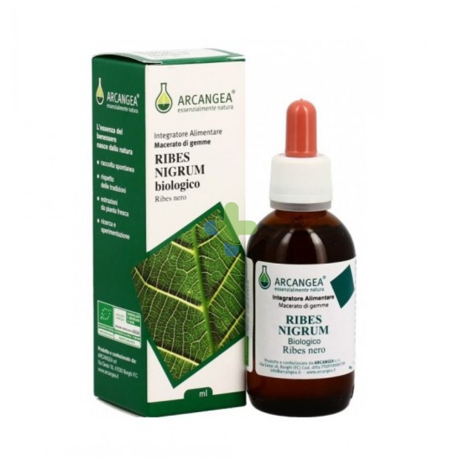 Arcangea Ribes Nigrum 33% Bio 50ml Gd