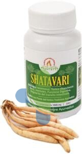 Bliss Ayurveda Italy Ayurera Shatavari 60cpr