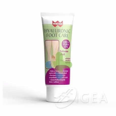 Gdp -general Dietet.pharma Winter Hyaluronic Foot Care Ba