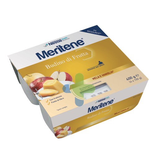 Nestle' It.(healthcare Nu.) Meritene Budino Frutta Mela-va
