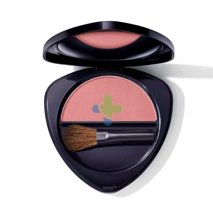Wala Italia Dr Hauschka Blush 01 5g