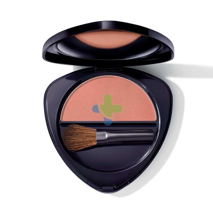 Wala Italia Dr Hauschka Blush 02 5g