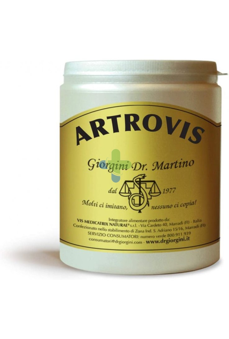 Dr.giorgini Ser-vis Artrovis Polvere 360g