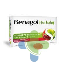 Reckitt Benckiser H.(it.) Benagol Herbal Menta Cil24past