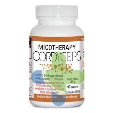 A.v.d. Reform Cordyceps Micotherapy 90cps