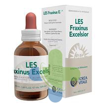 Cento Fiori D3 Cento Max 200opr