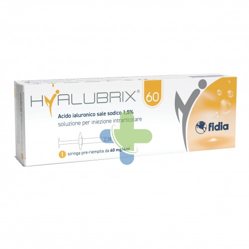 Fidia Farmaceutici Hyalubrix 60 Sir 60mg 4ml N/e