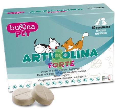 Steve Jones Articolina Forte 60cpr