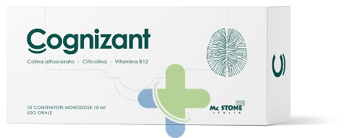 Mc Stone Italia Cognizant 10fl