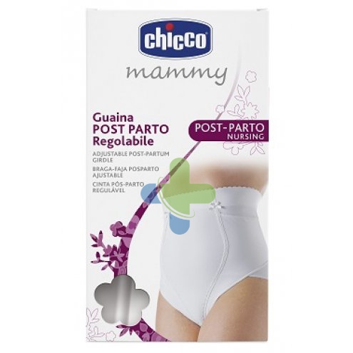 Chicco (artsana) Ch Guaina Post Parto Reg 4