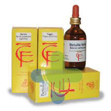 Cento Fiori Tiglio Gemme 50ml Mg